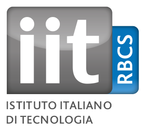IIT_Logo